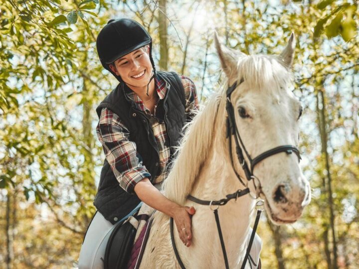 Ile kosztuje dzierżawa konia – przykładowe kwoty i warunki umowy