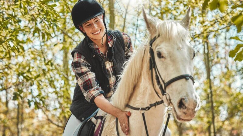 Ile kosztuje dzierżawa konia – przykładowe kwoty i warunki umowy